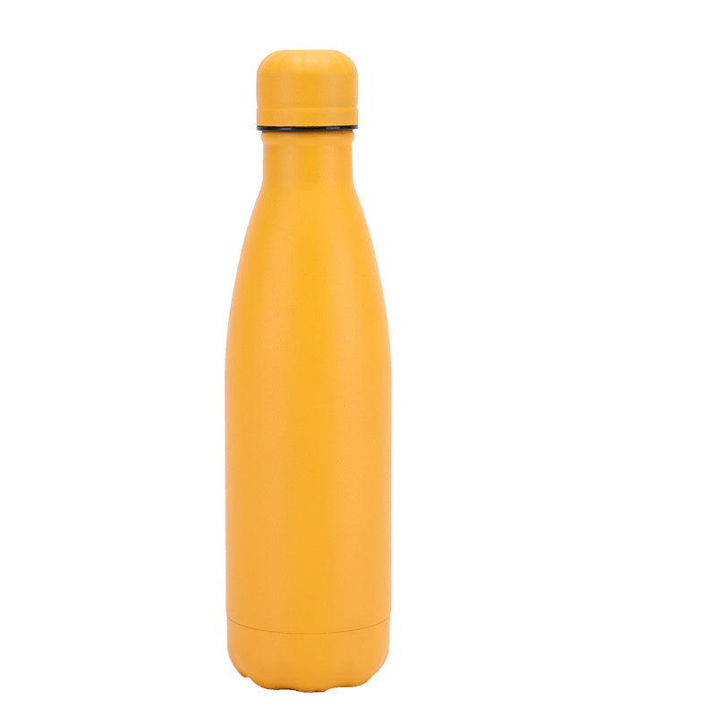 Stainless Steel Water Bottle