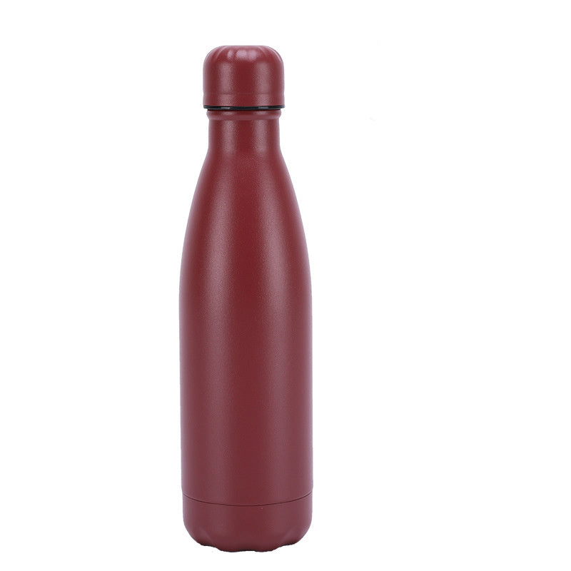 Stainless Steel Water Bottle