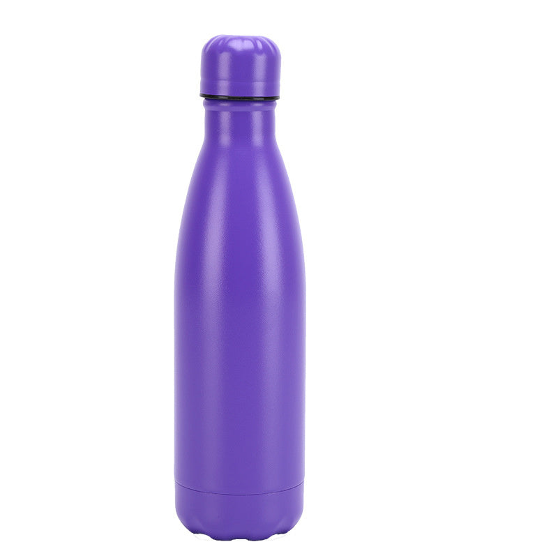 Stainless Steel Water Bottle